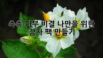 ✨ 촉촉 피부 비결! 나만을 위한 감자 팩 만들기🥔
