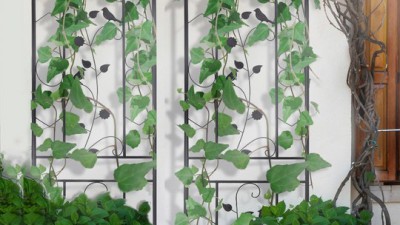 🌱 우리집 초록 감성! 식물파티션 솔직 후기 & 꿀팁 대방출 (특가정보有)