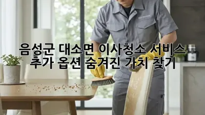 음성군 대소면 이사/청소 서비스 추가 옵션: 숨겨진 가치 찾기