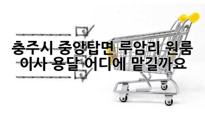 충주시 중앙탑면 루암리 원룸 이사 용달, 어디에 맡길까요?