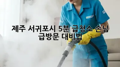 제주 서귀포시 5분 급청소! 손님 급방문 대비법